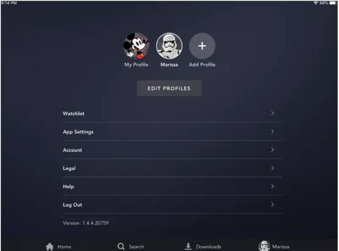 disney plus language settings on pc