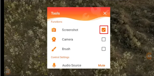 Check the box next to "Screenshot." for netflix