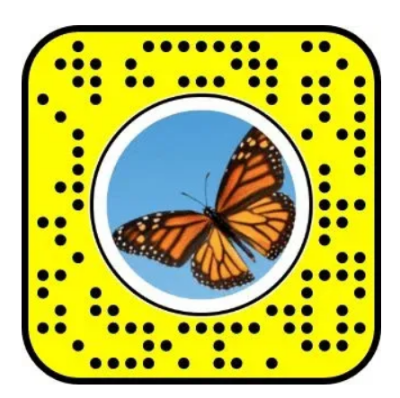 Use the Snapcode