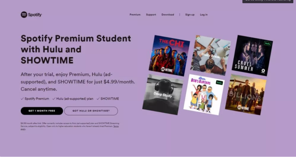 What Comes With Spotify Student