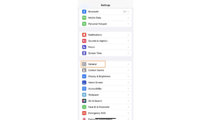 General Settings Iphone