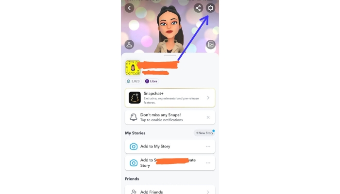 Snapchat Profile