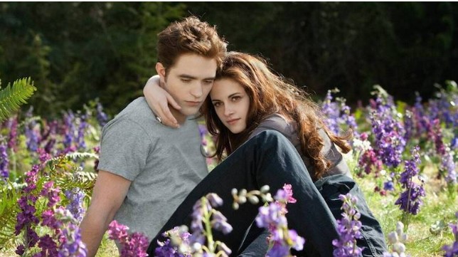 What Happened In The Previous Twilight Movie?