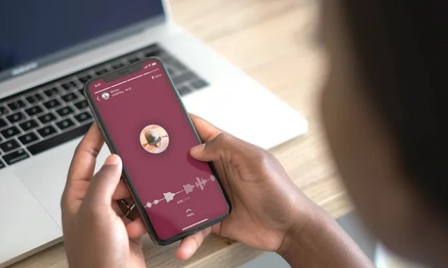 What Is WhatsApp Voice Status