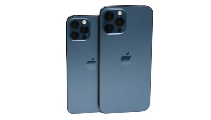 12 Pro and 12 Pro Max