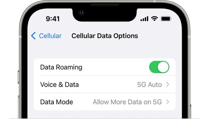 Enable Cellular Data
