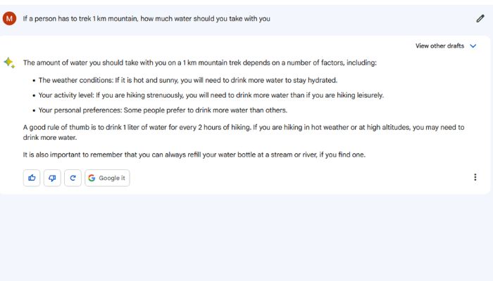 Google Bard Example 1