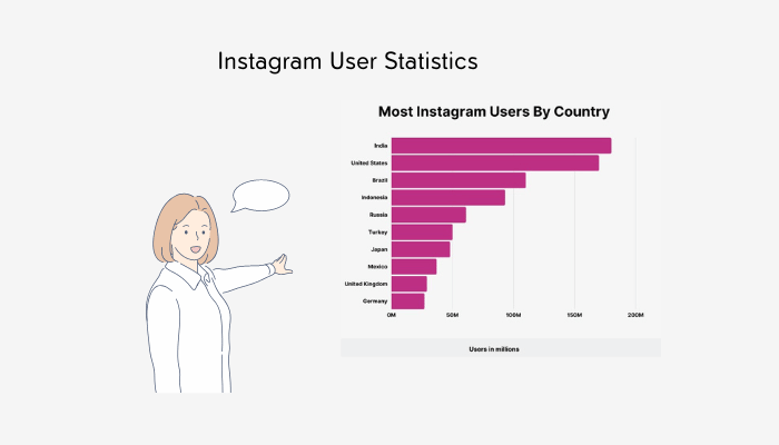 Instagram User Statistics