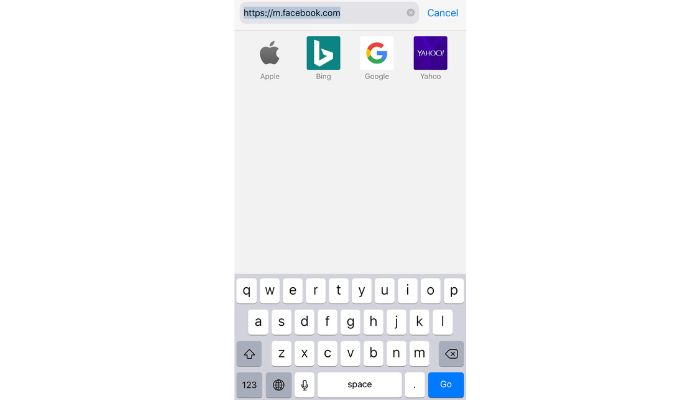Safari web browser
