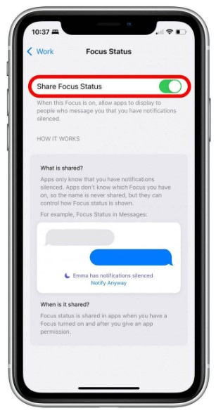 Share Focus Status 