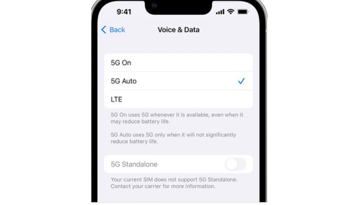 Voice Data Window