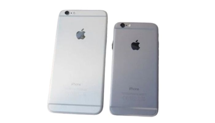 iPhone 6 and 6 Plus