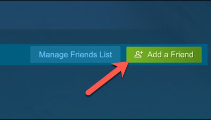 Adding Friend On Steam