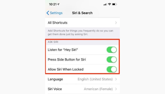 Enable Siri Search