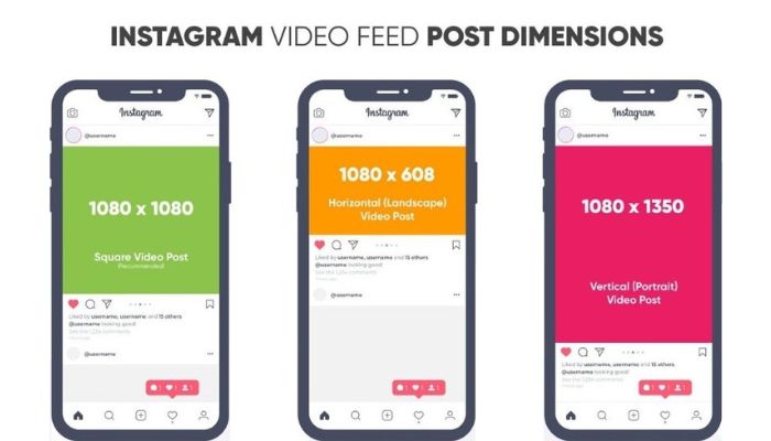 Feed Video Dimensions