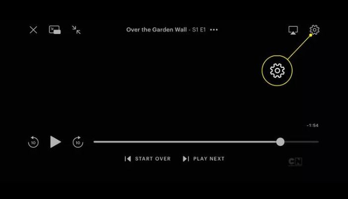 HUlu Subtitles Settings