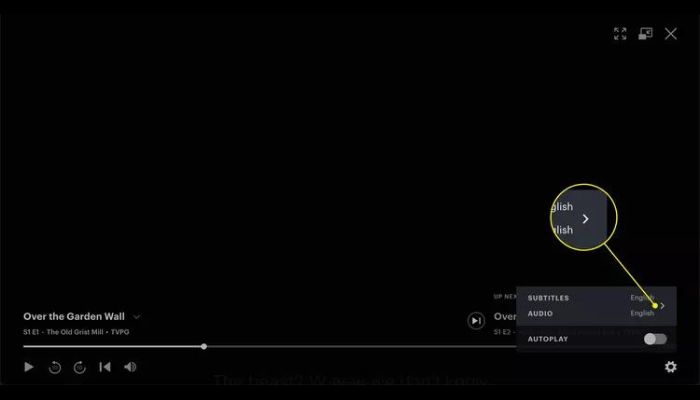 Hulu Subtitles