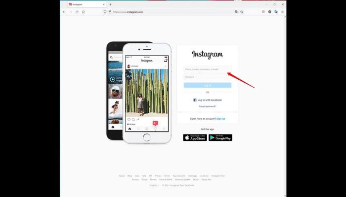 Indtagram Window