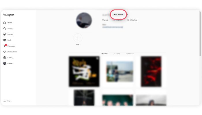 Insta Edit Profile