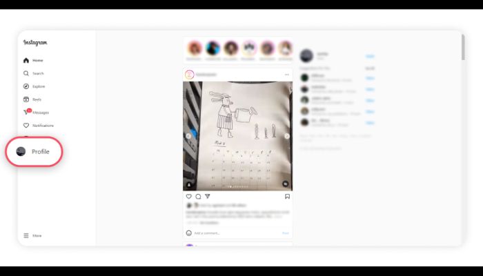 Instagram Profile
