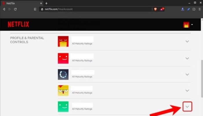 Netflix Parental Controls