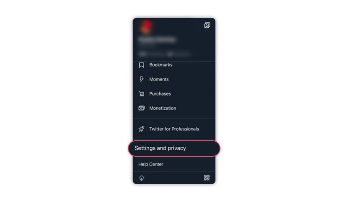 Settings and Privacy Twitter IOS