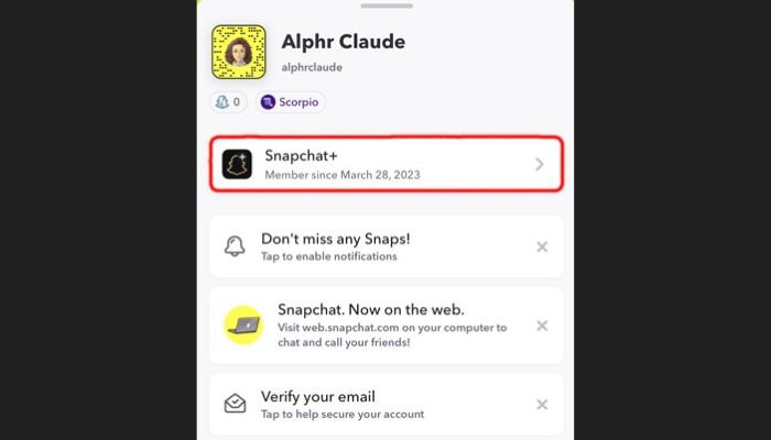 Snapchat Management