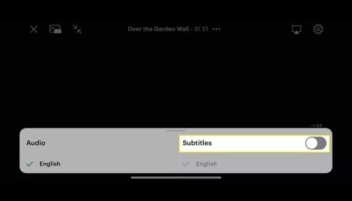 Subtitles Settings
