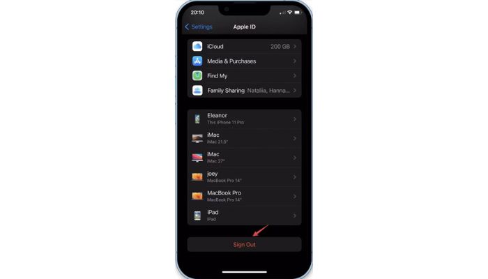 Apple ID Signout