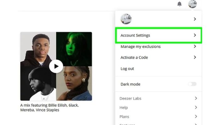 Deezer Account Settings