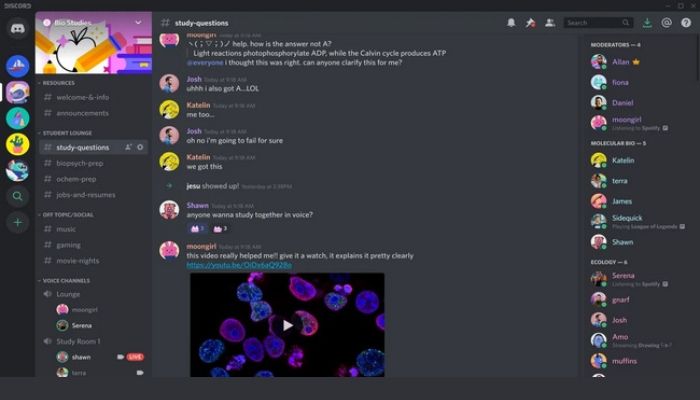 Discord