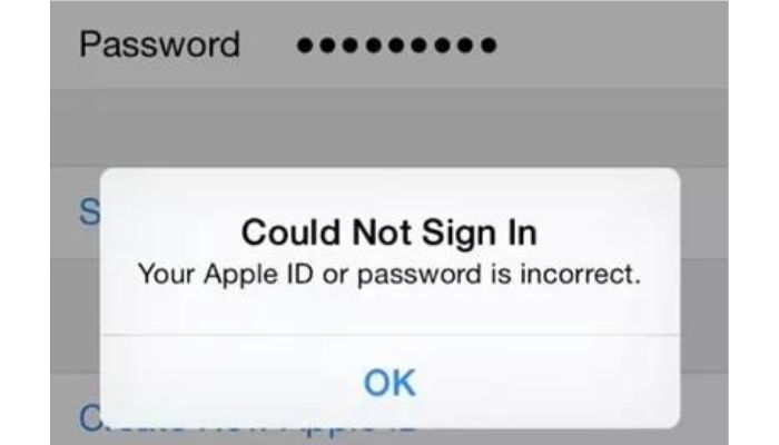 Entering Incorrect Password