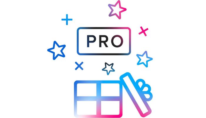 Flickr Pro
