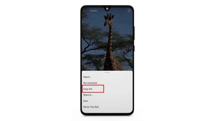 Instagram Copy Link