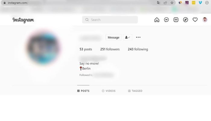 Instagram Desktop Profile View
