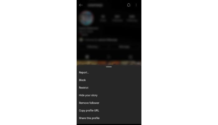 Instagram Mobile App