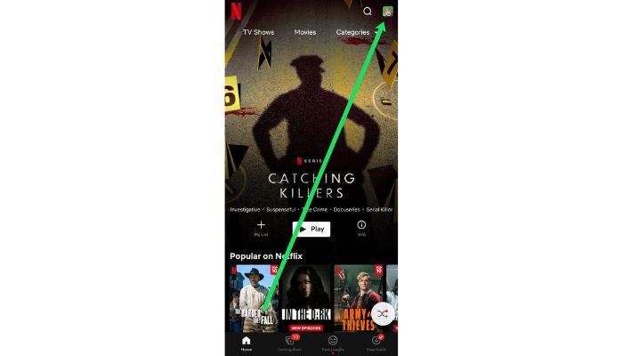 Netflix Profile