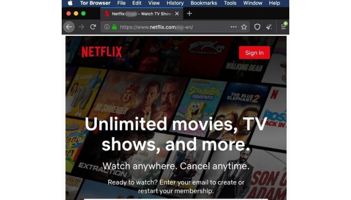Netflix with Tor