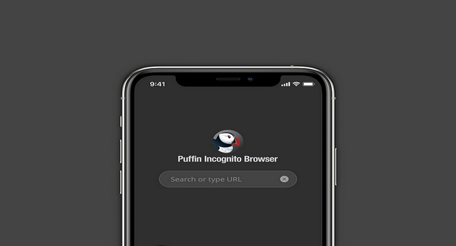 Puffin Cloud Browser For iPhone