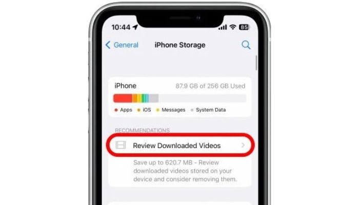 Review Downloaded Videos