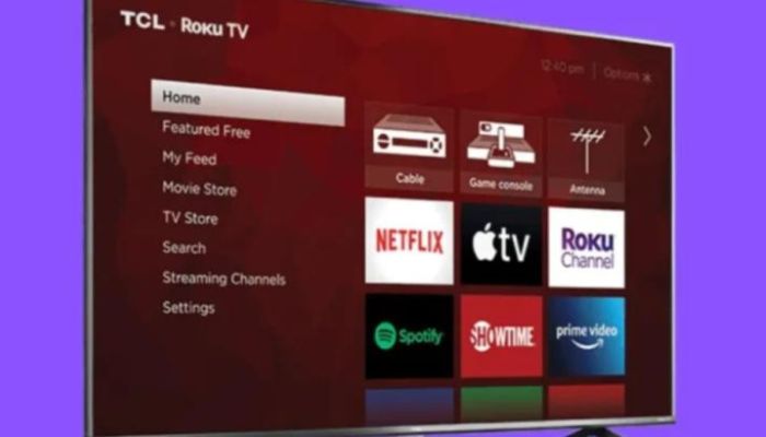Roku TV Home