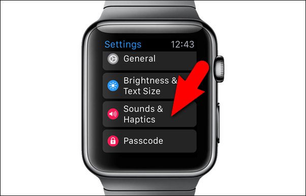 Sound Haptics Apple Watch