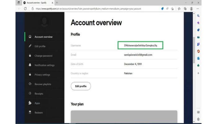 Spotify Account Overview