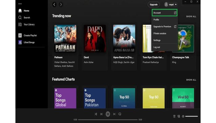 Spotify Account