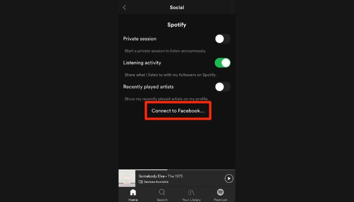 Spotify Connect to facebook window