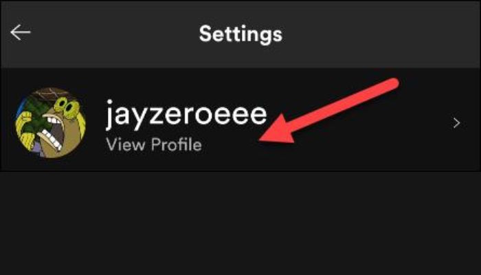Spotify Profile View