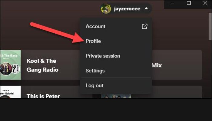 Spotify Profile