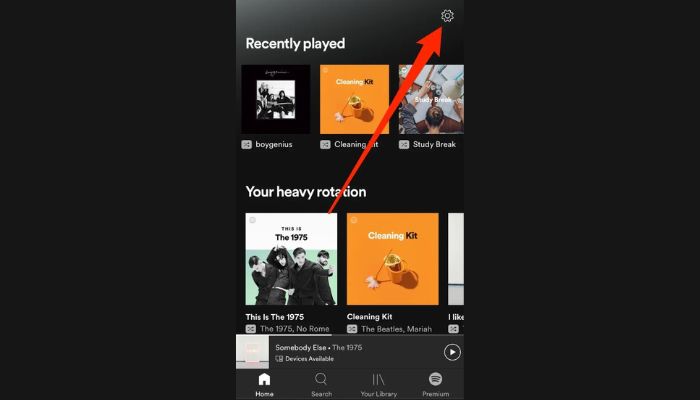 Spotify Settings Mobile
