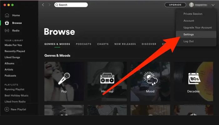 Spotify Settings Window