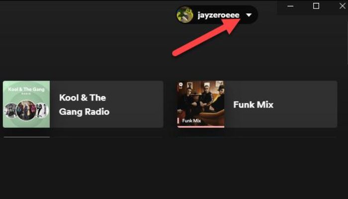 Spotify User